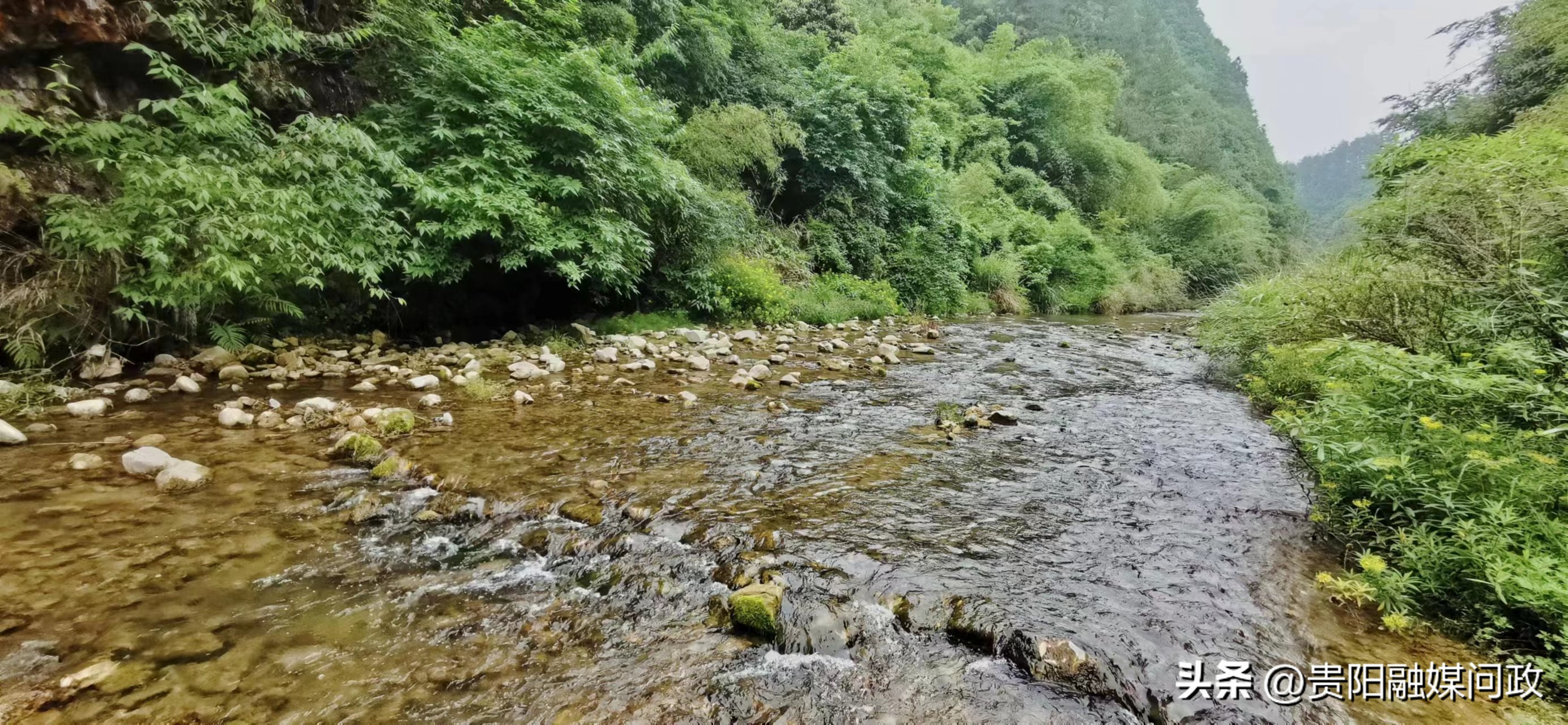 融媒+督查|拦断河道、烧烤玩水......白水河饮用水源保护区竟成“野生”景点？