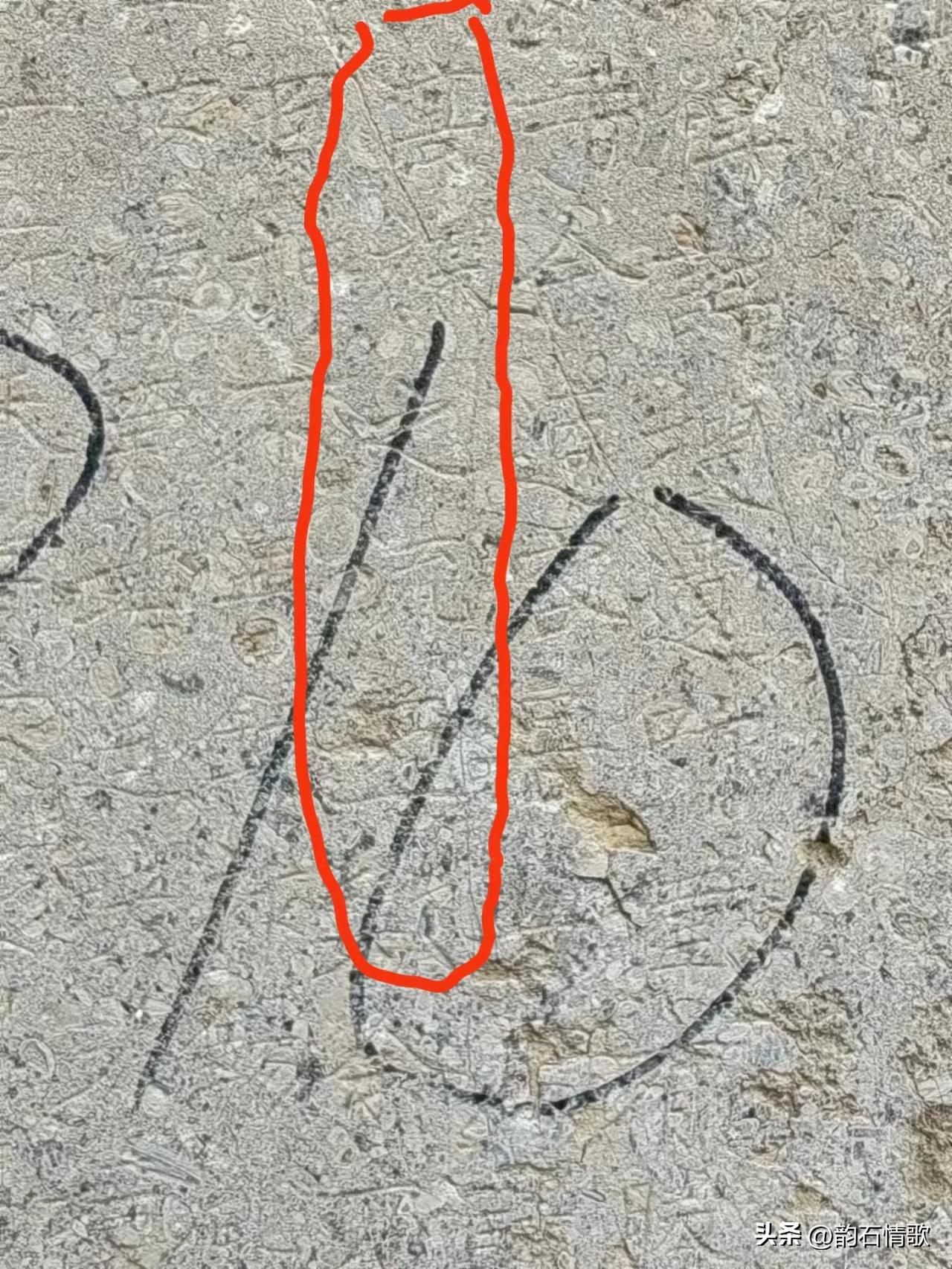 汝州郭鸿志,郭鸿志谈古论今