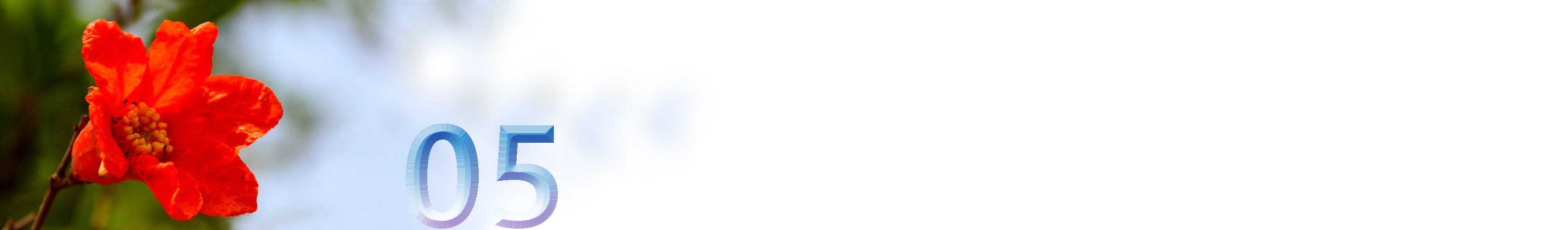 五月石榴花开的唯美诗句,关于石榴花的美文和诗句