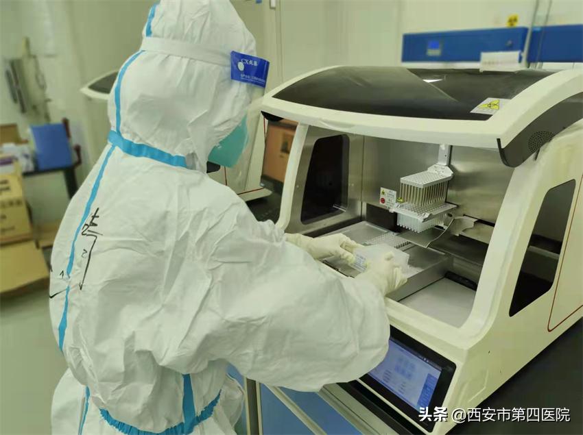 健康中国全民抗疫,秦岭四宝抗疫