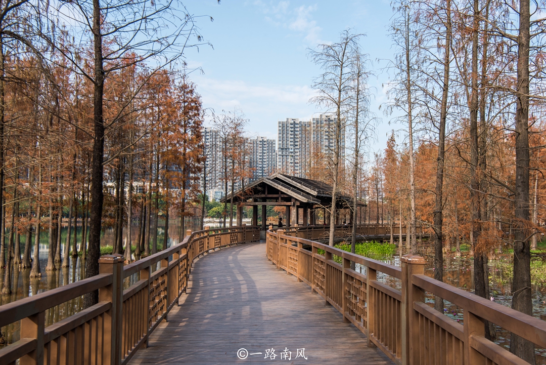 广州最偏远的区是什么区,广州市各区实力排名