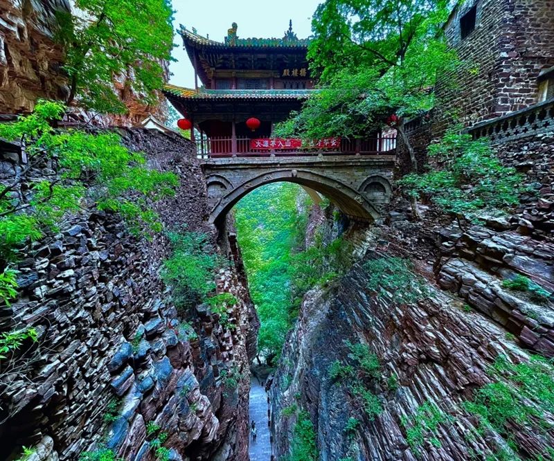 享受阳光享受大自然天然氧吧,值得一去的天然森林氧吧