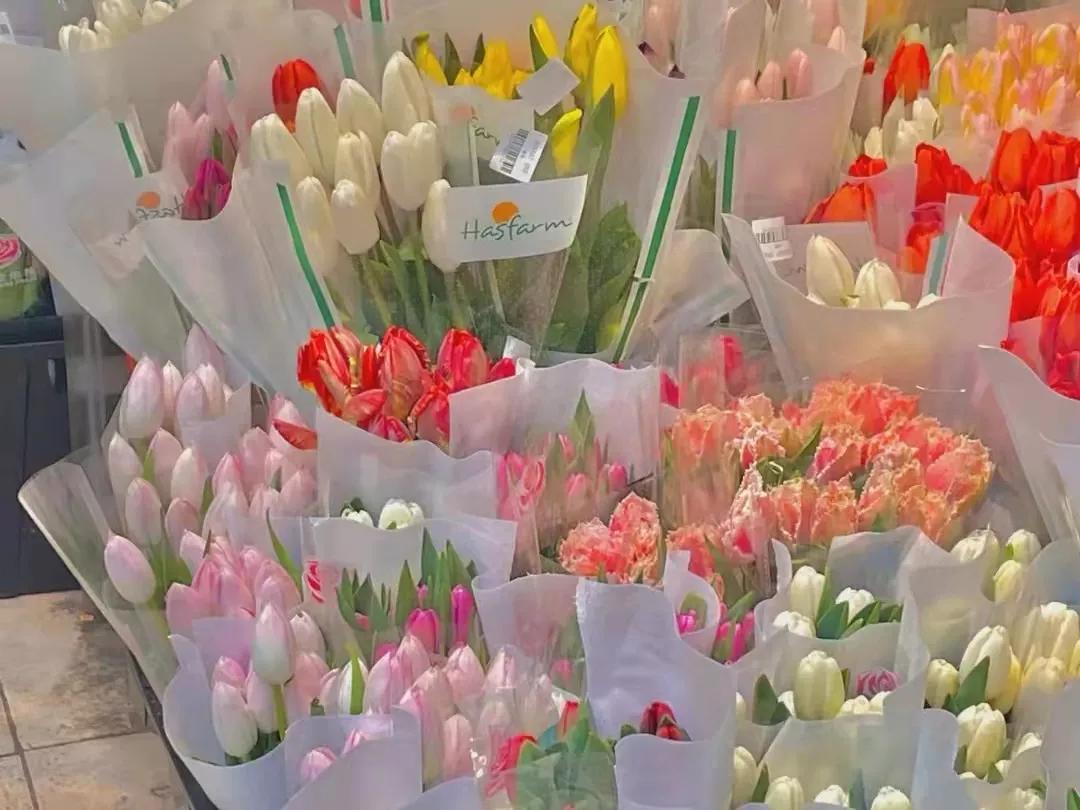 现在的大学生不考研,大学生除了考研还有哪些出路