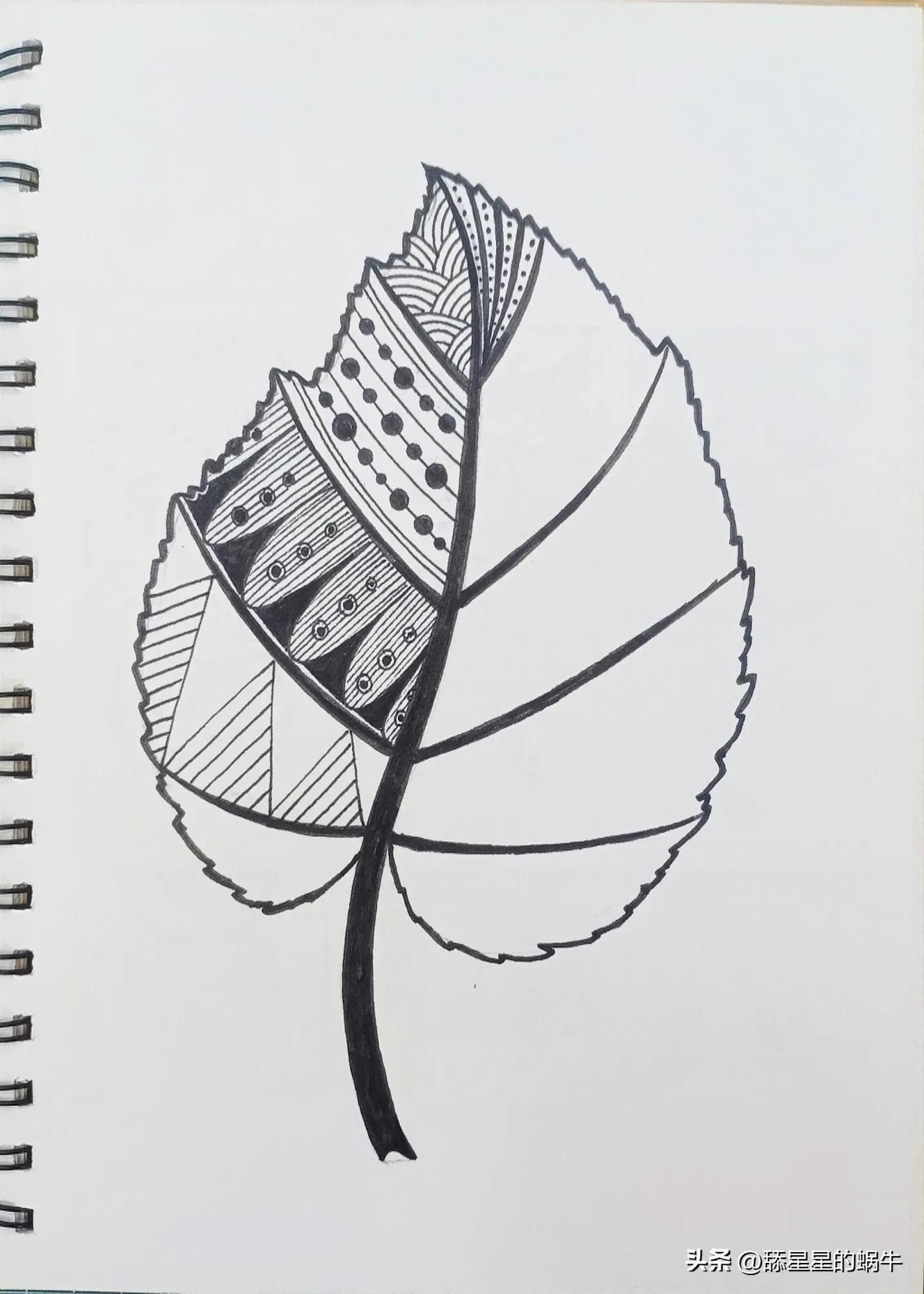 树叶黑白线描画简单花纹,点线面的树叶创意线描