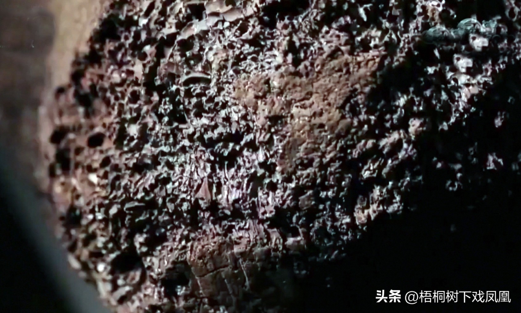 华光礁1号沉船古瓷,沉船古瓷