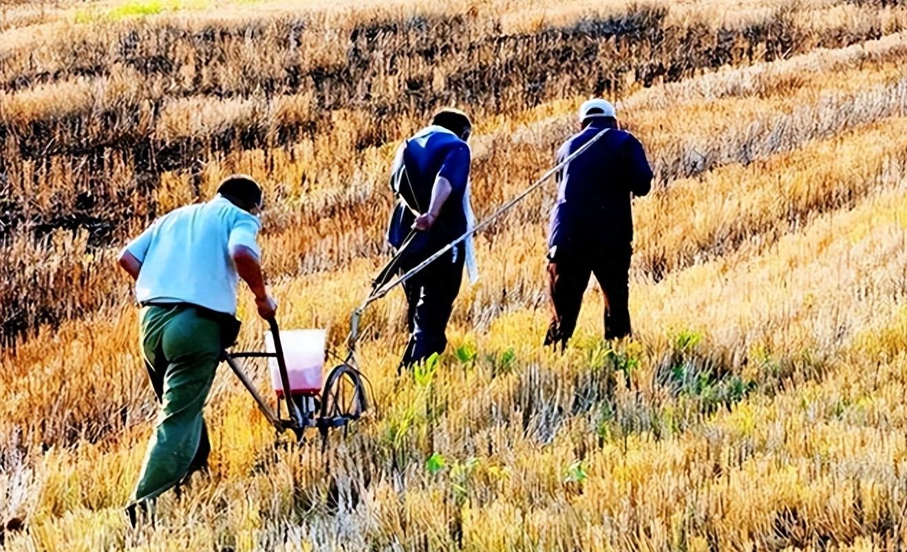 许家印歌舞团队演员照片,许家印歌舞团队演员状况