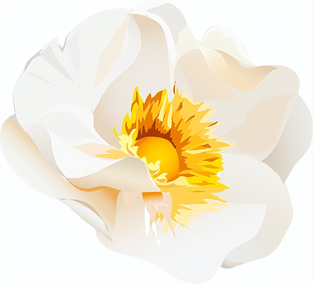 椹笂棰勭害鐗规潈,绔嬪嵆棰勭害鍏嶈垂鍙傝