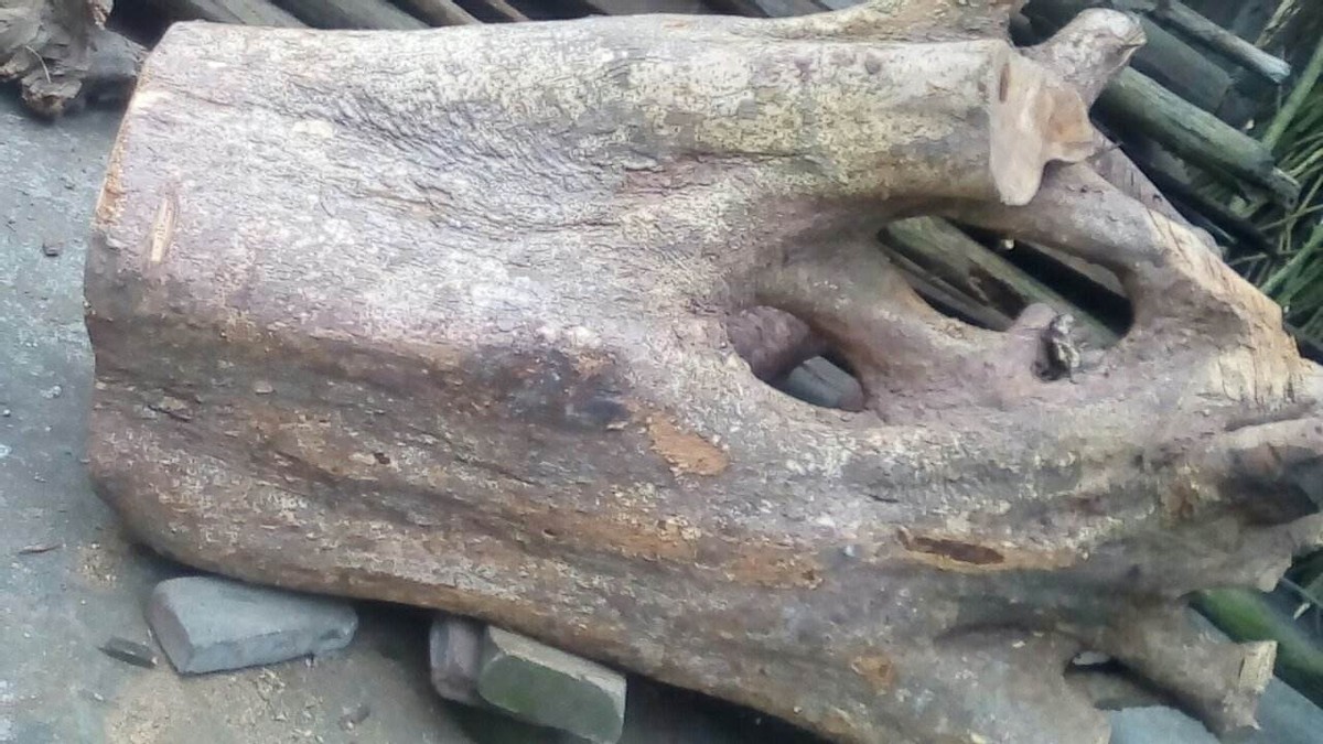 广西一男子雕出15米雄狮，出价300万都不卖，如今闲置无人问津