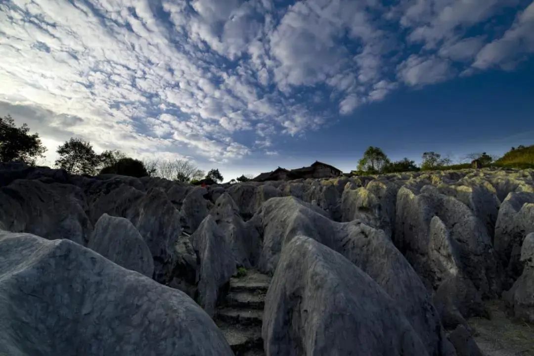 逛吃逛吃逛吃，跟着动车出发3.0
