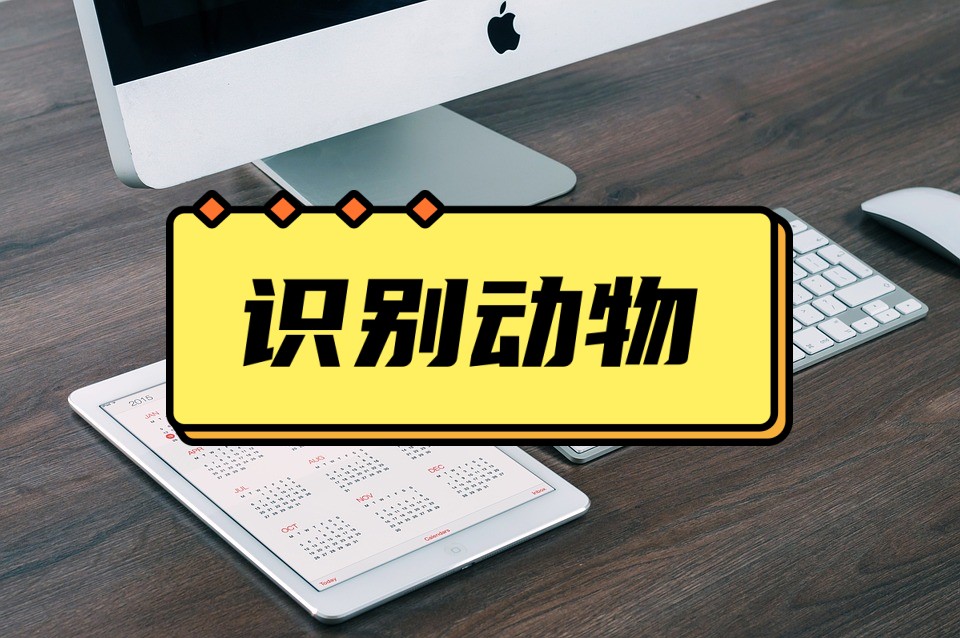 拍照动物自动识别数量软件,拍照识别动物数量app