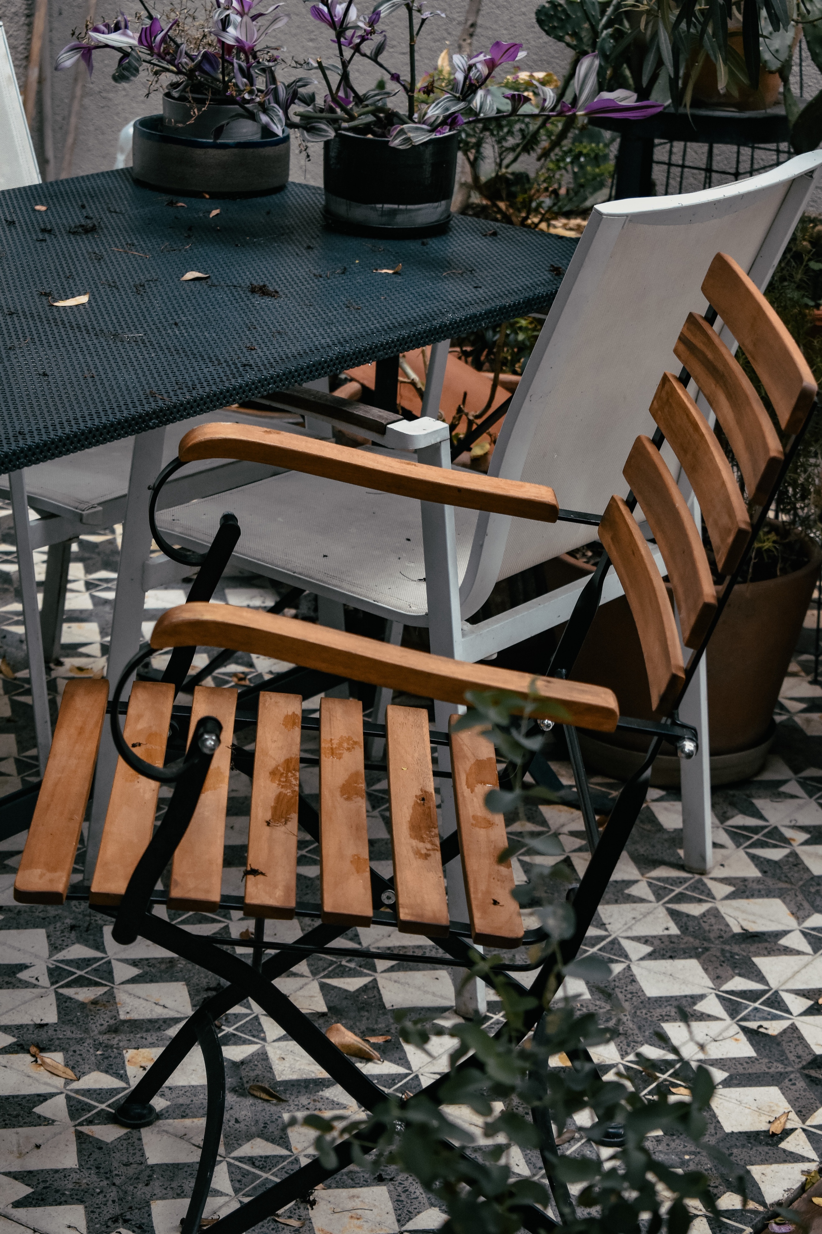 手机拍照对焦技巧大全,手机拍照对焦方法大全