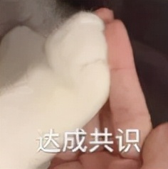 和彭昱畅开启解压之旅,爱生闷气的人怎么给他解闷