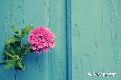 最怕的病是穷病,穷病是一种什么病