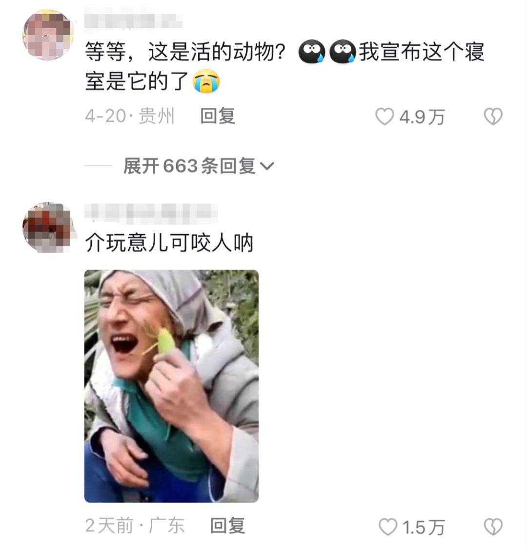 学校突然出现诡异的虫子,女生宿舍惊现不明虫