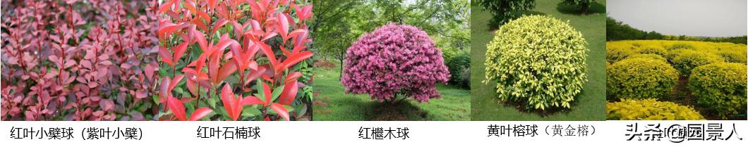 标杆房企园林景观工序,最新热销地产项目景观设计全解密