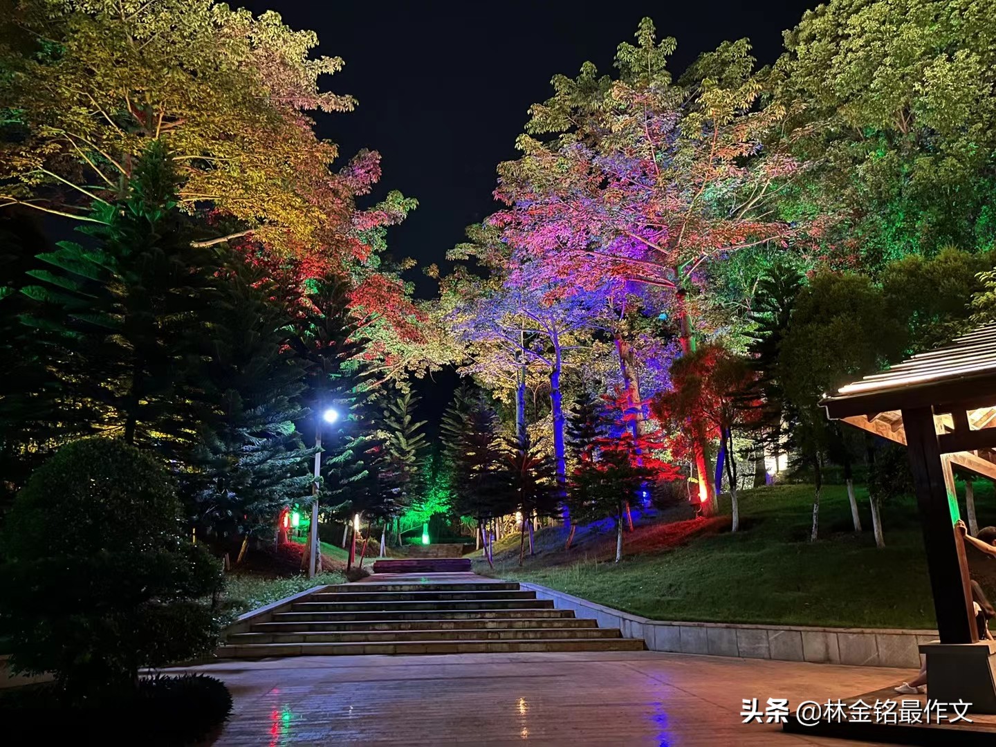 投资理财如何入门自学,理财知识新手如何投资理财才赚钱