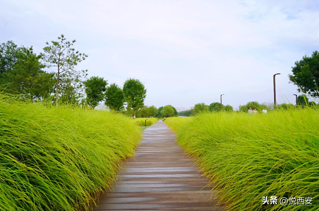 西安公园2020年开放时间,西安遗址公园有哪些