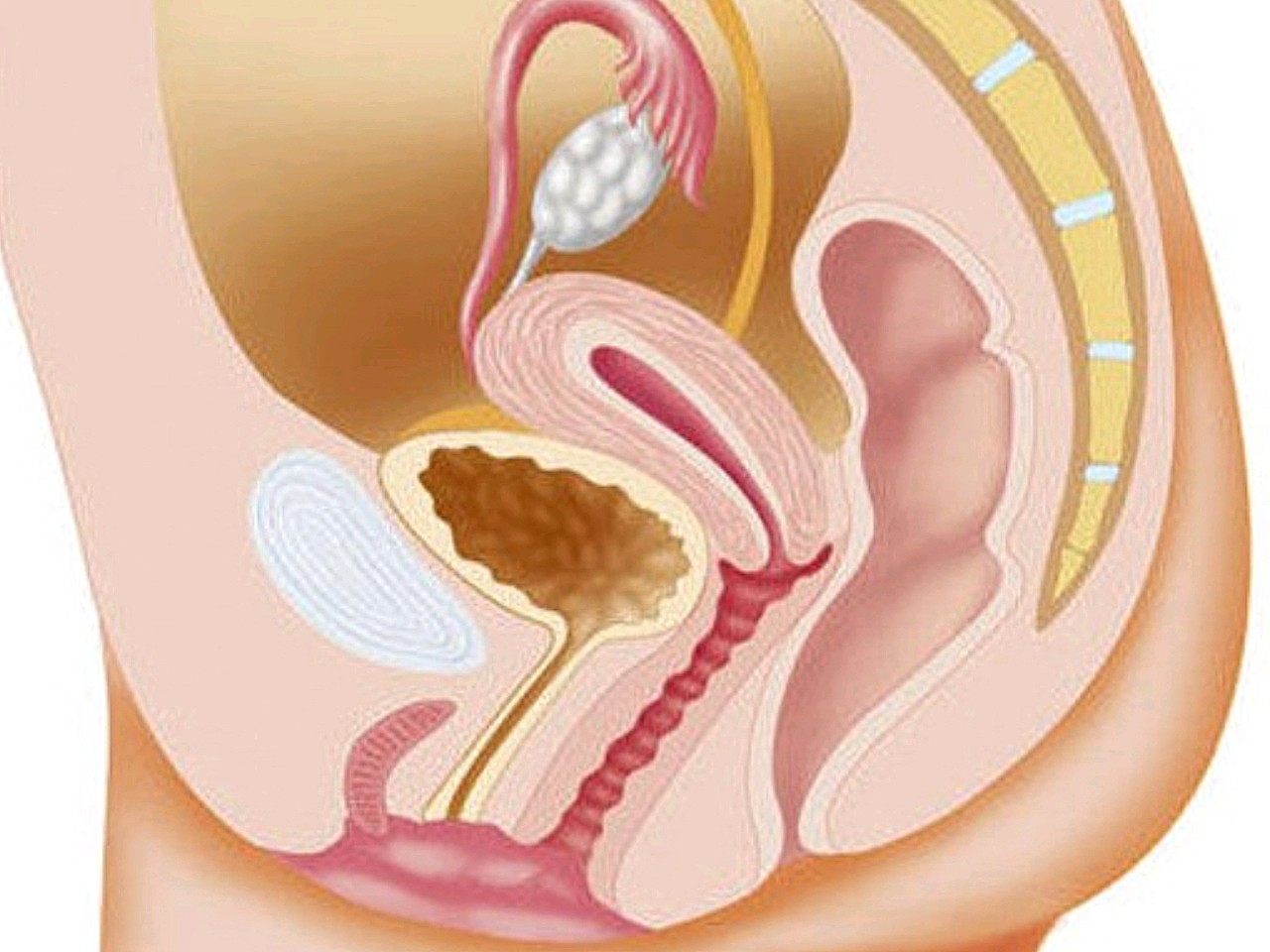 50岁女人漏尿怎么治疗吃什么药,女人上了年纪漏尿怎么办