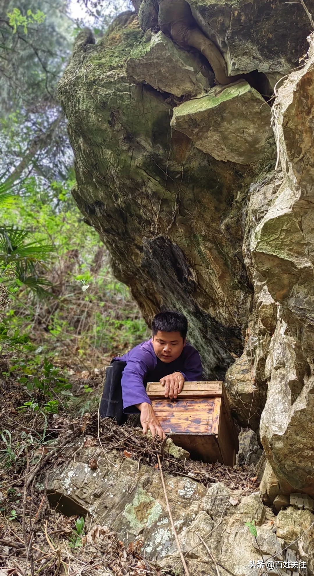 辞职后我决定徒步一百座山,辞职后我回仙村当农民