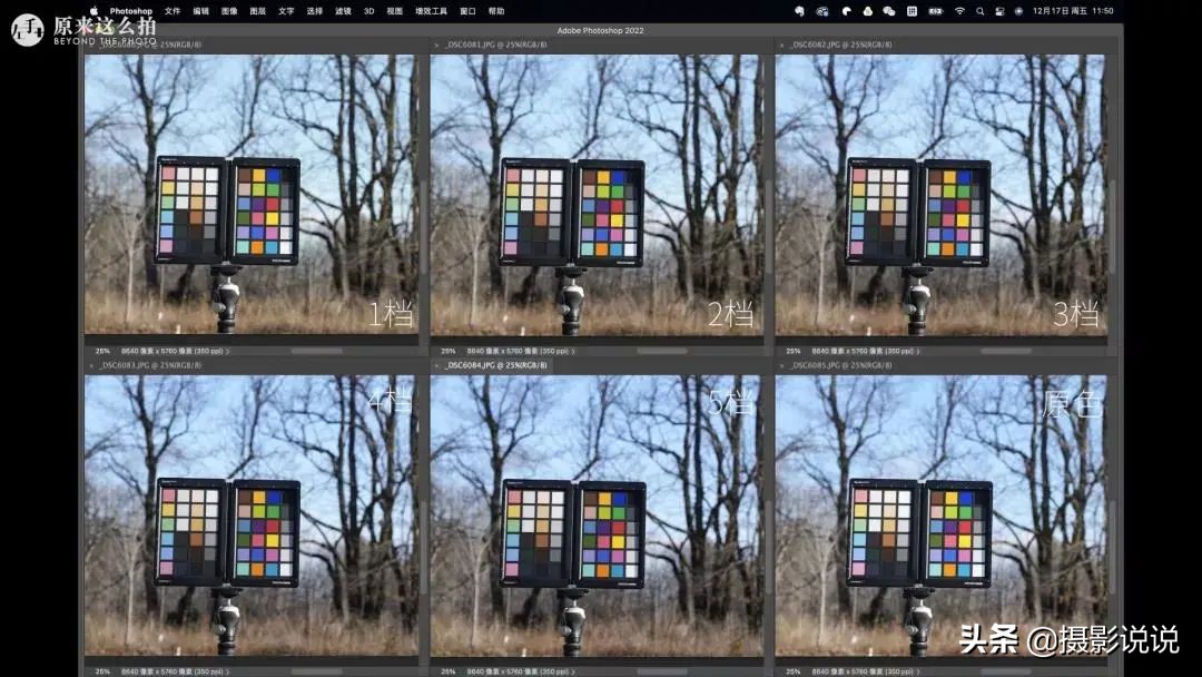 张千里推荐镜头,张千里视频直播