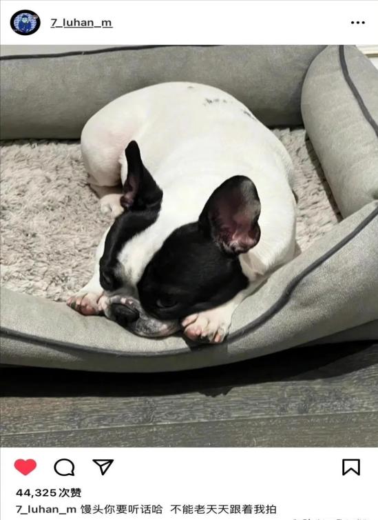 貌若潘安的潘安,娱乐圈四大绿林好汉鹿晗