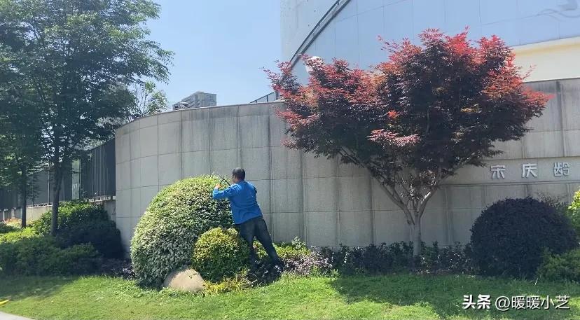 名副其实意思是什么,五一劳动节名副其实劳动的一天