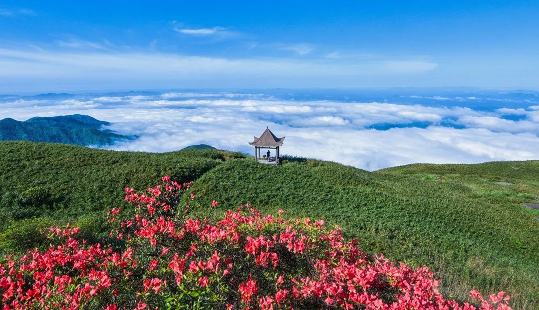 盘点影视的名场面瞬间,都市名场面