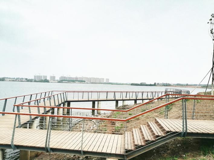 西湖公园网红打卡地,网红打卡地金湖公园