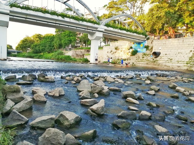 西平县107现在建的啥,1986河南驻马店西平