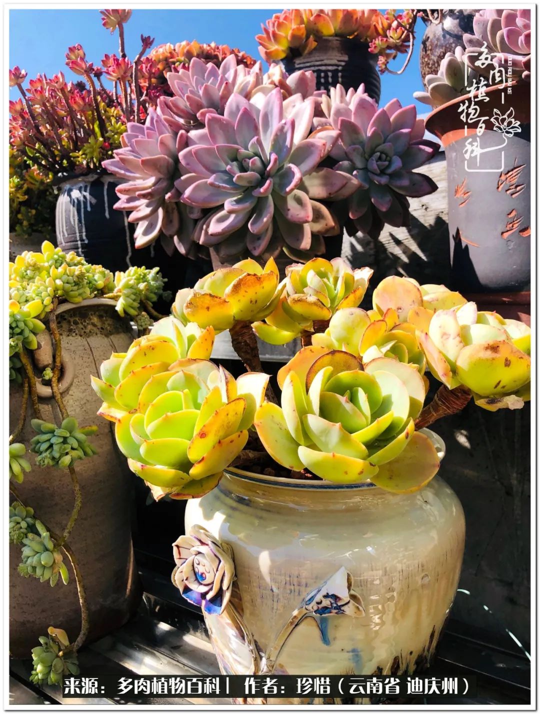 给生命一份淡然还岁月一份从容,给生命留一份洒脱的话