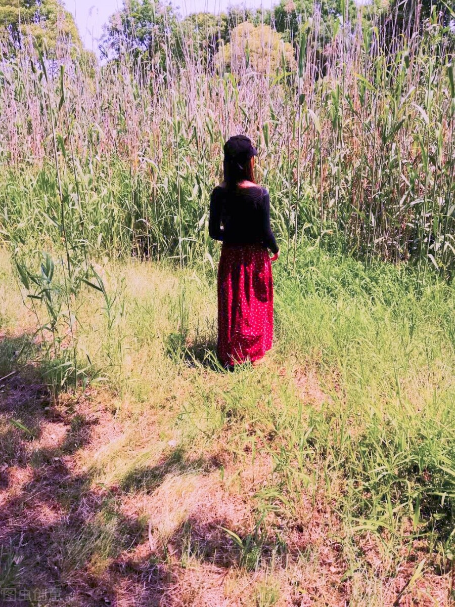 离离原上草一岁一枯荣的翻译,离离原上草一岁一枯荣诗句的意思