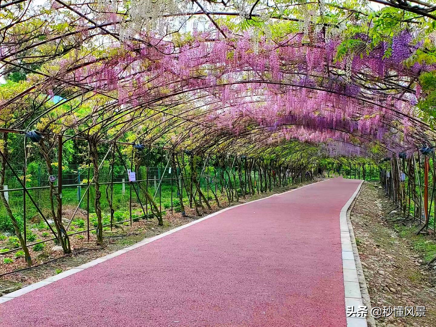 成都又潮又老的打卡胜地,现在成都周边网红景点一日游美景