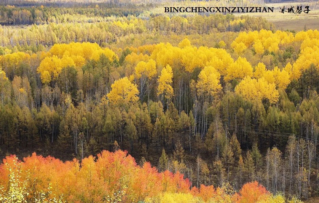 秋天大兴安岭最美的地方,秋天美丽的大兴安岭