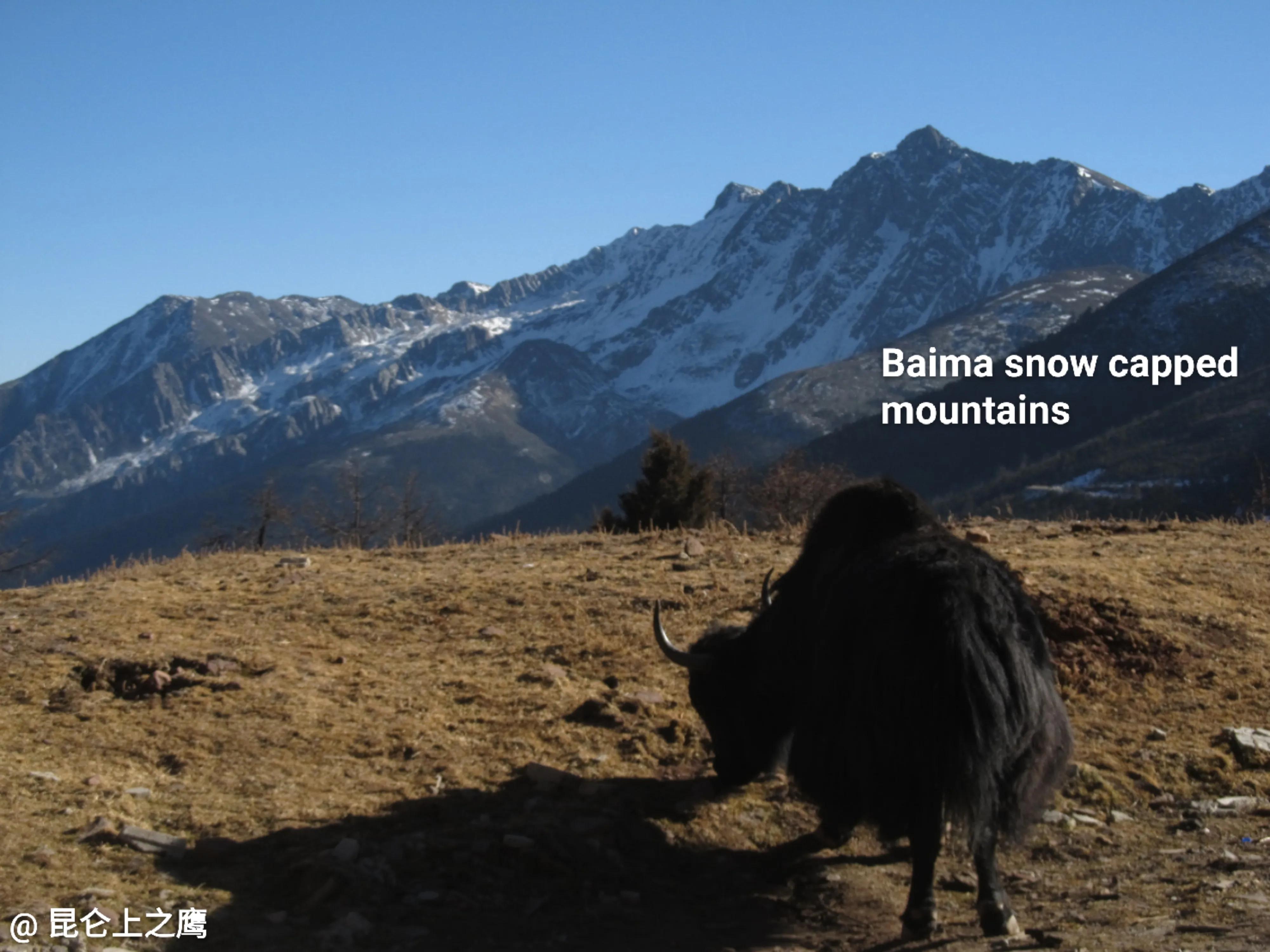 从香格里拉到德钦自驾,香格里拉到德钦沿途地点