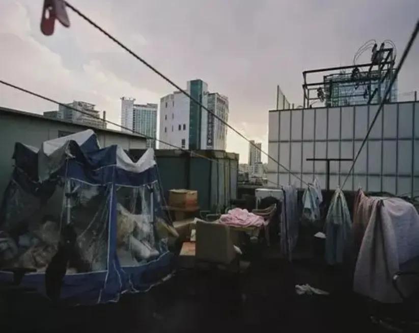 小说廉租房,廉租房小说后续