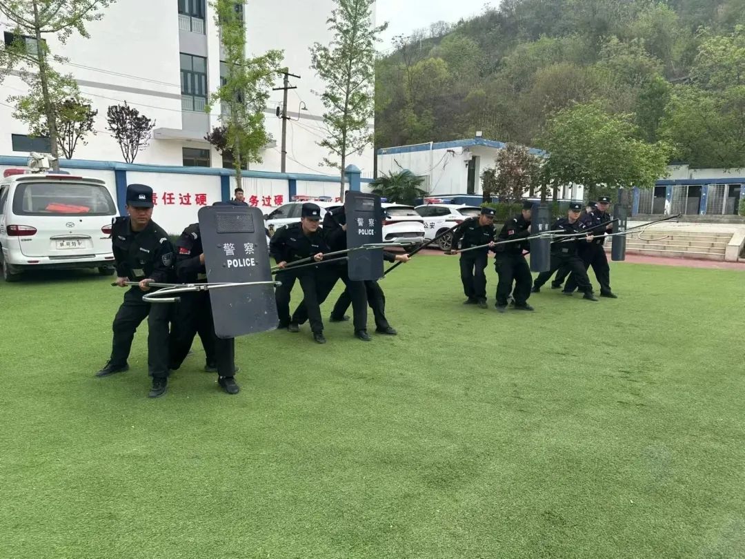 户政窗口周末开辟“学生*证办**”专场【三分钟速览成县公安动态】