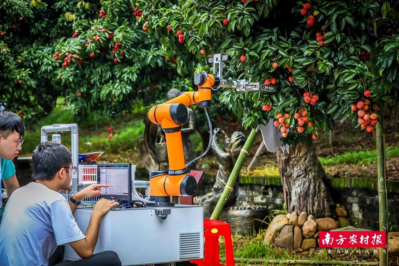 涔℃潙鎸叴浠庡寲鑽旀灊,宀崡鑽旀灊涔℃潙鎸叴