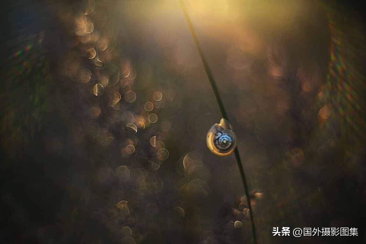 秋天最美大自然图片,春天最美的三十六张照片