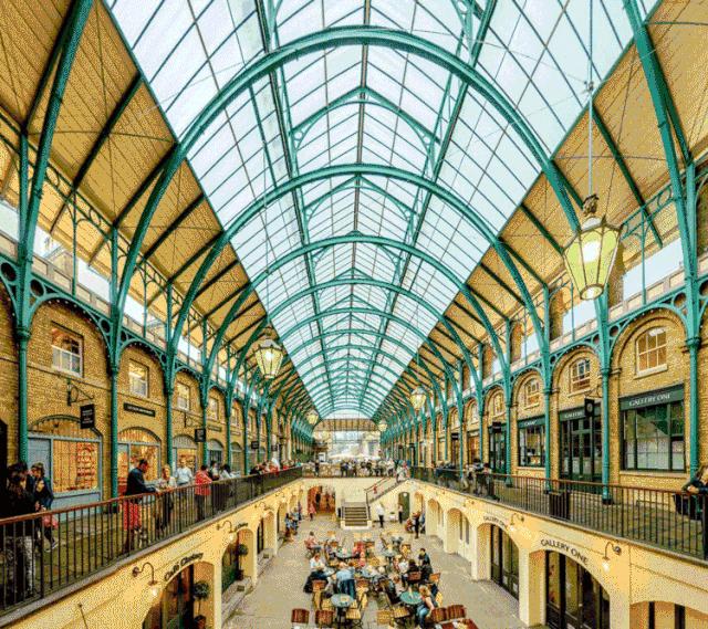 浼︽暒鏋楄偗骞垮満鏄豹瀹呭悧,鏋楄偗骞垮満妤肩洏