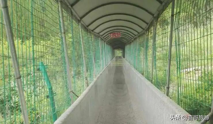 黄花溪景区攻略一日游价格,黄花溪一日游攻略