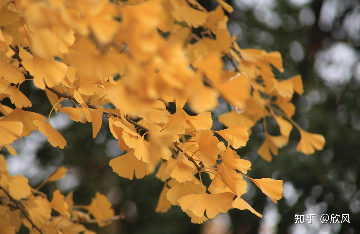 2-3天适合去哪里旅游湖北,湖北十堰旅游攻略三日游