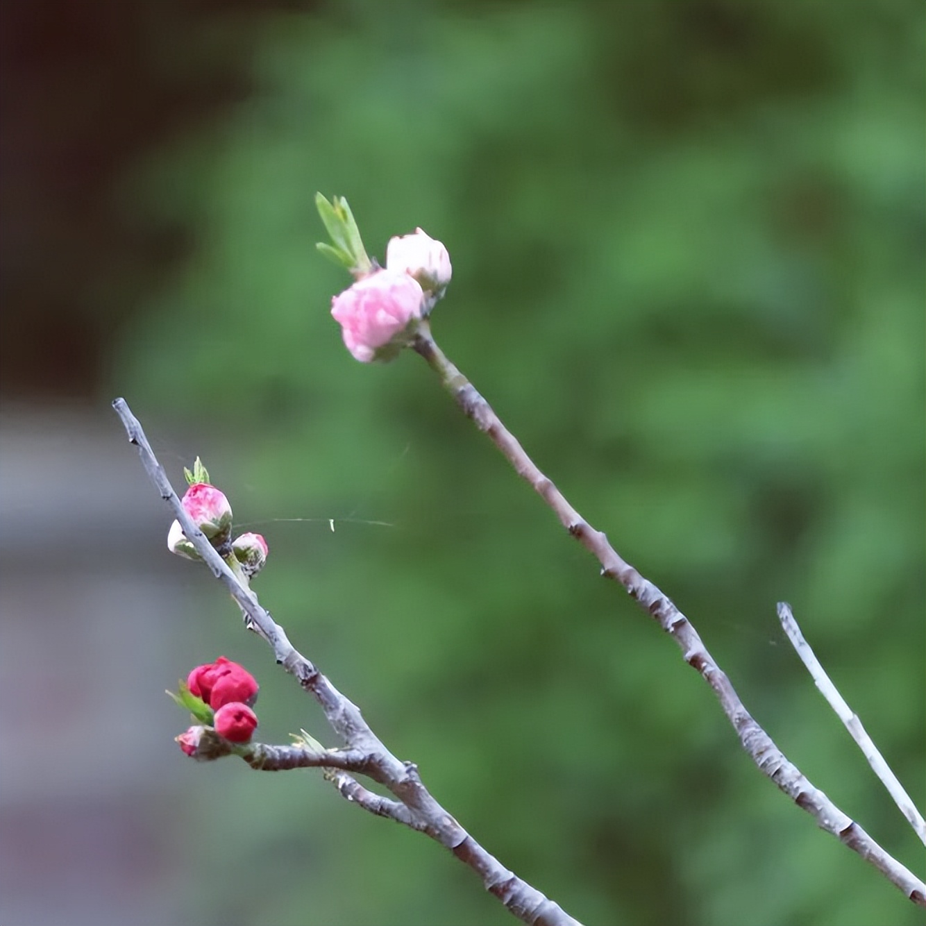 皇天后土汉兴地，沟堑芒砀今犹记|沟馥合香藏头诗征集令第十二期诗文大赏