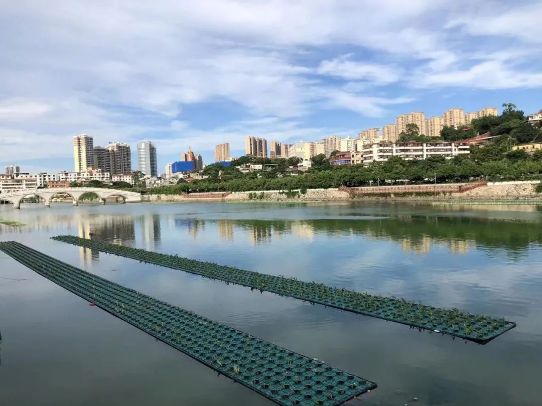 浮岛是什么样子的,浮岛是什么样的