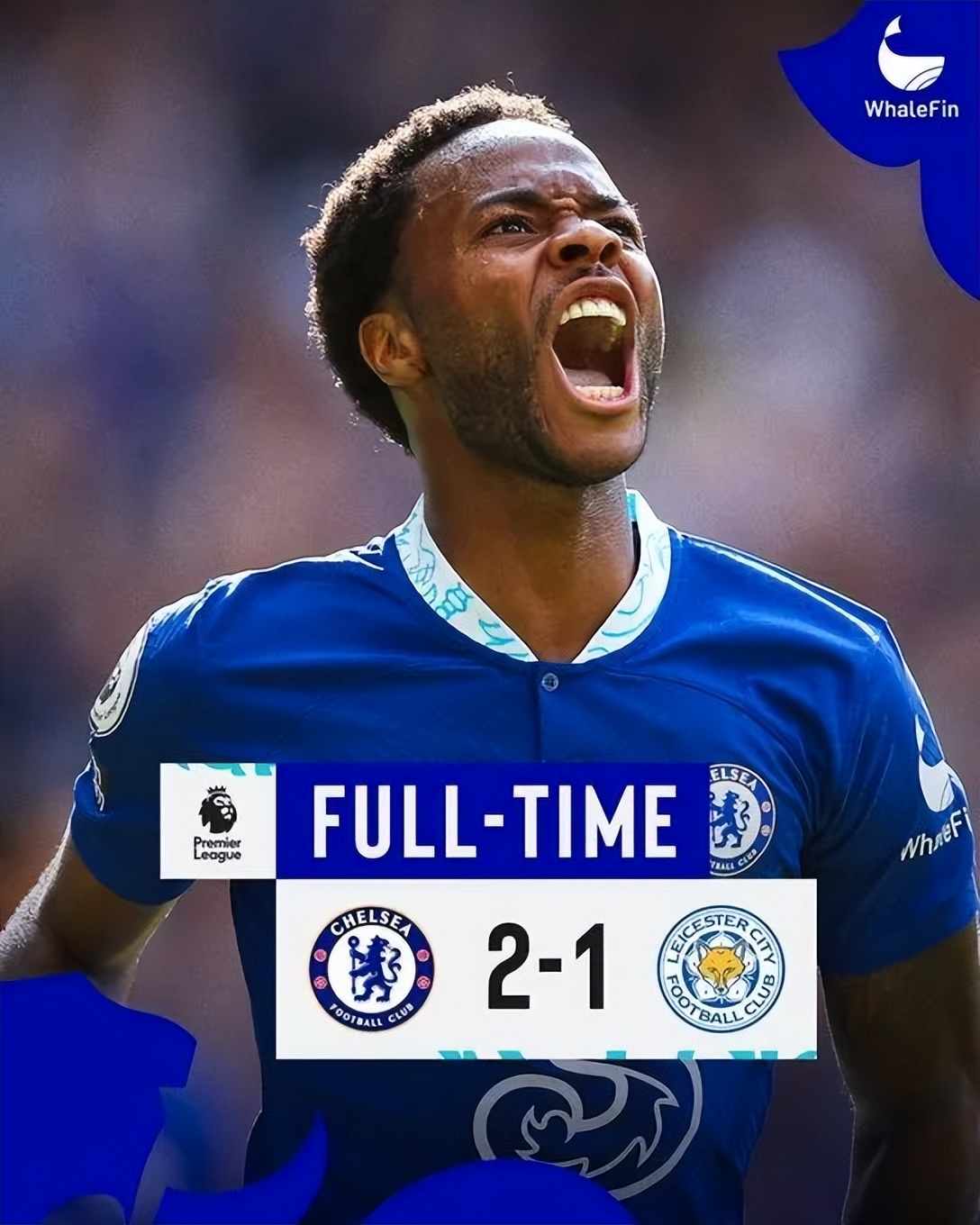 逗妹吐槽视频,逗妹吐槽