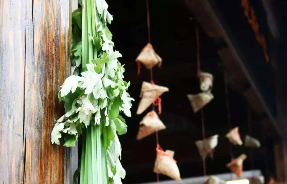 新洲活动福利,新洲优惠活动