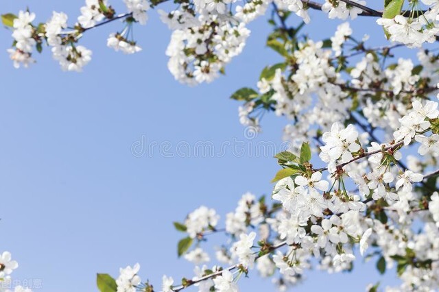 超实用的10个省钱小妙招,省钱技巧100个小妙招图文