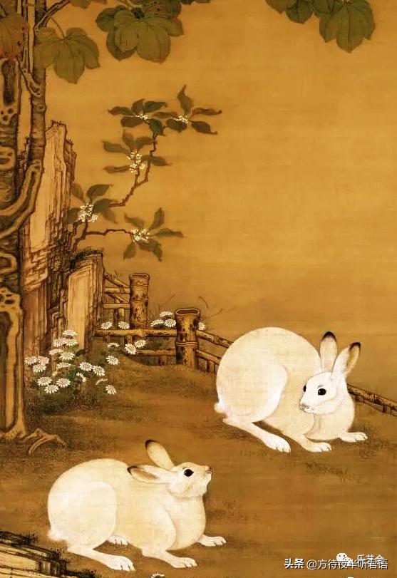 兔年说兔音频,兔年说兔的吉祥话