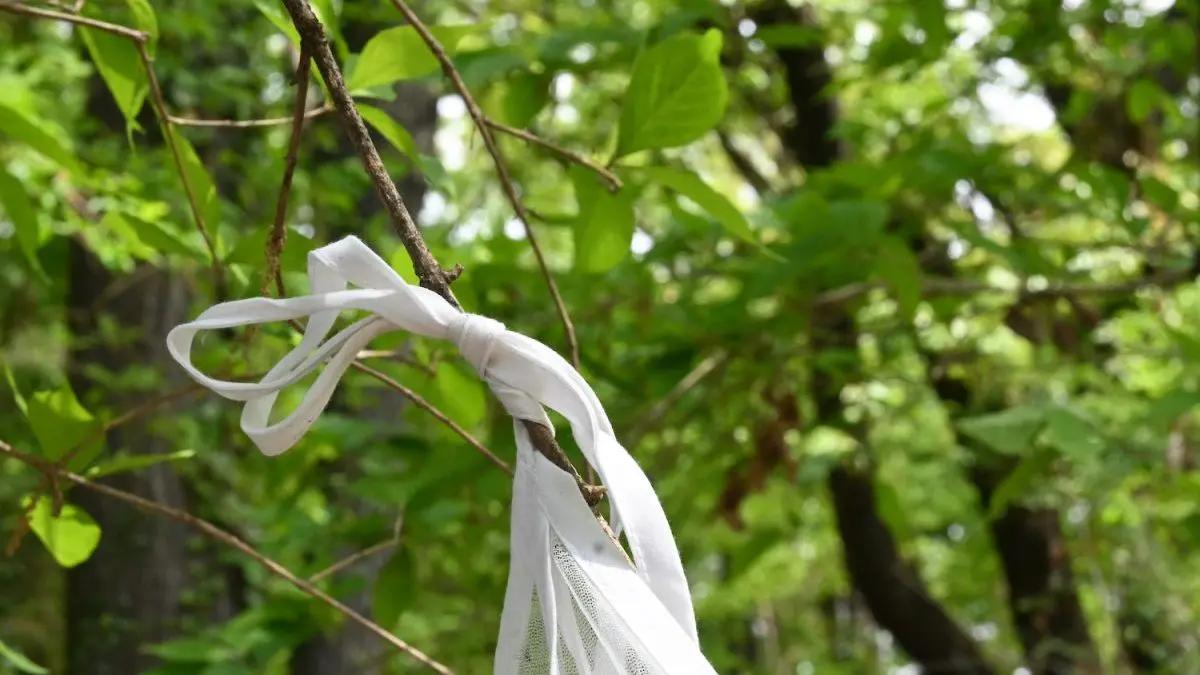 在室内长期睡帐篷有哪些影响,野外用蚊帐睡觉
