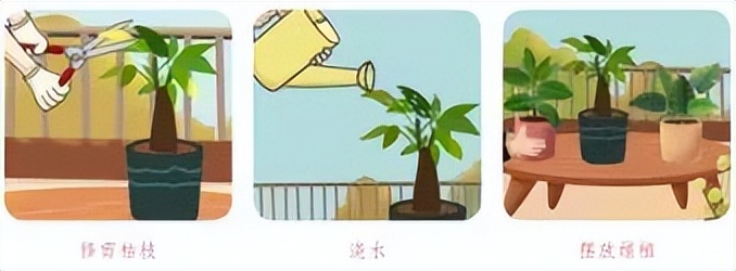 小学寒假劳动清单展示美篇,寒假劳动清单小学