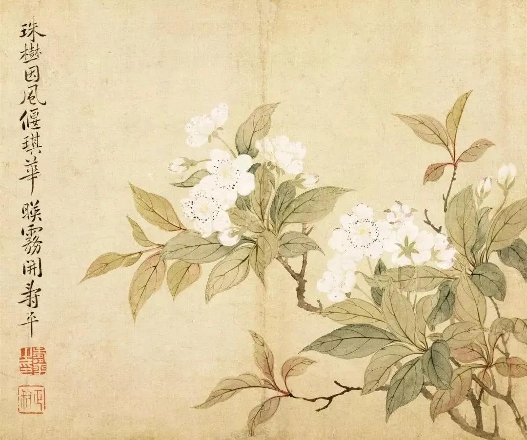 什么是没骨画技法,什么是没骨法画法